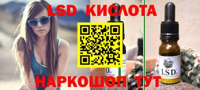 шишки Бийск