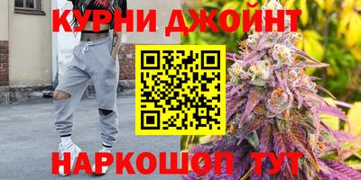шишки Бийск