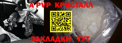 шишки Бийск