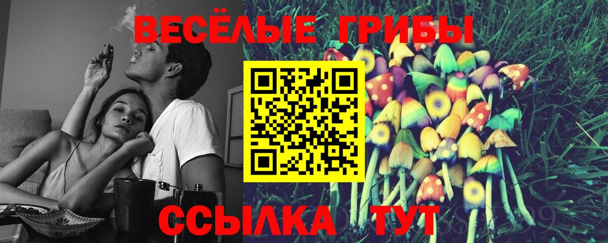 Псилоцибиновые грибы Psilocybe  Вход с VPN  Камышин  Галлюциногенные грибы ЛСД 